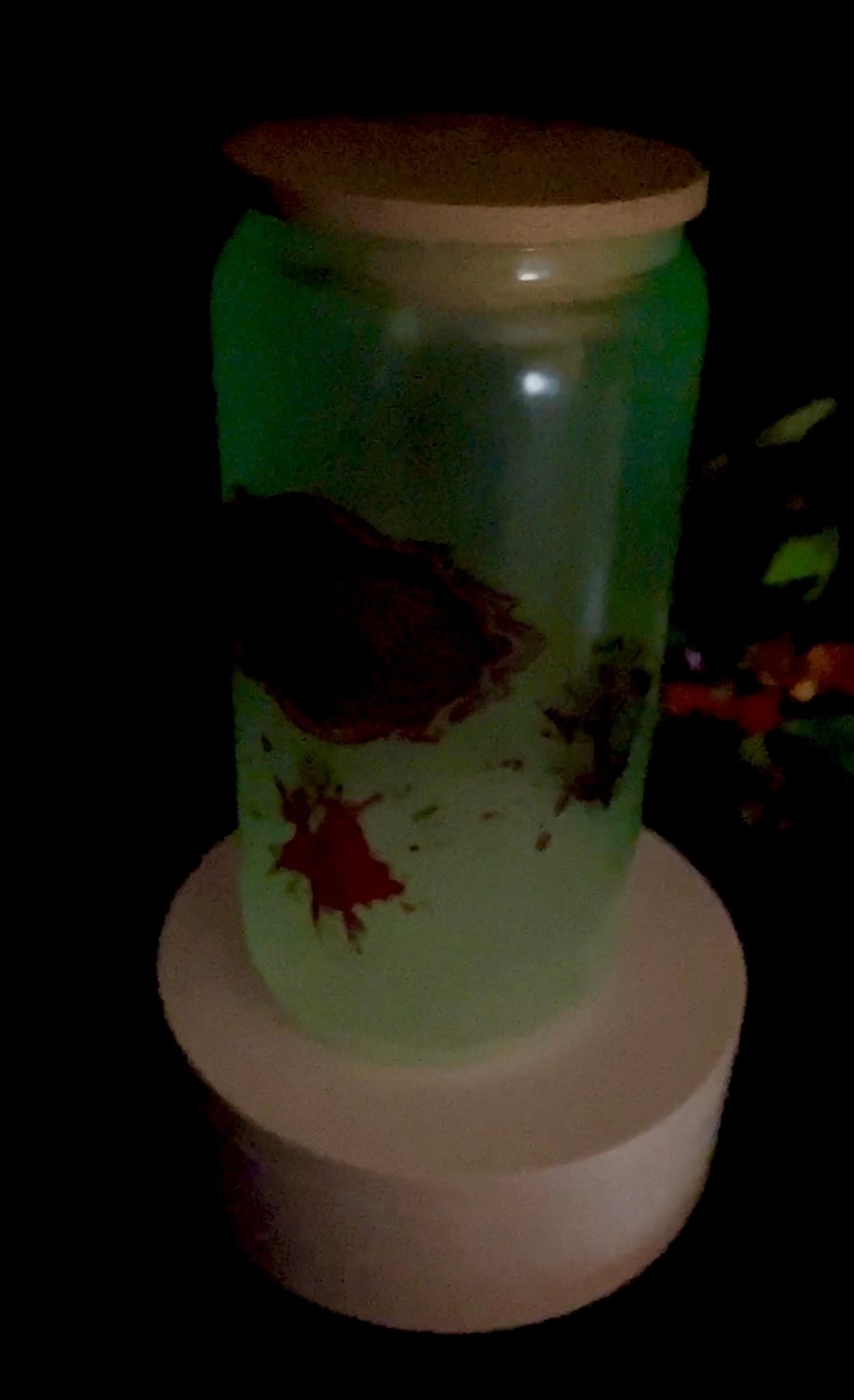 Glow in the dark 16 oz glass cup