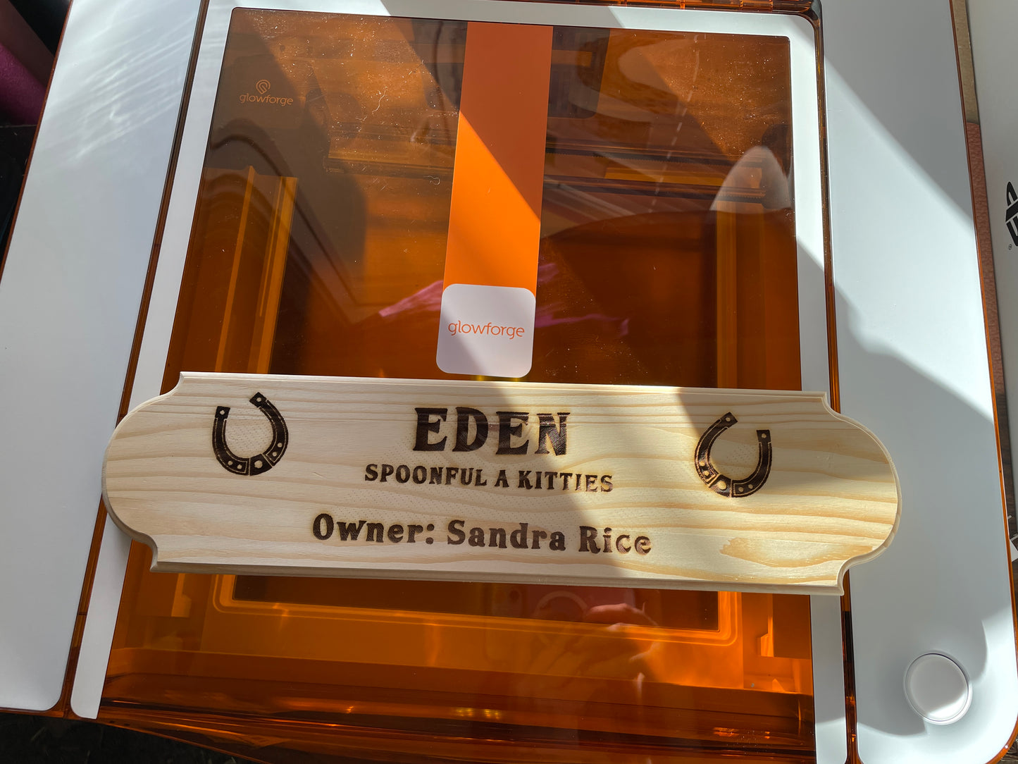 Personalized Horse Sign, Stable, Engraved Wood Sign, Rustic Decor, Wedding Name Sign, Housewarming Gift, Wedding Gift, Custom Engraved