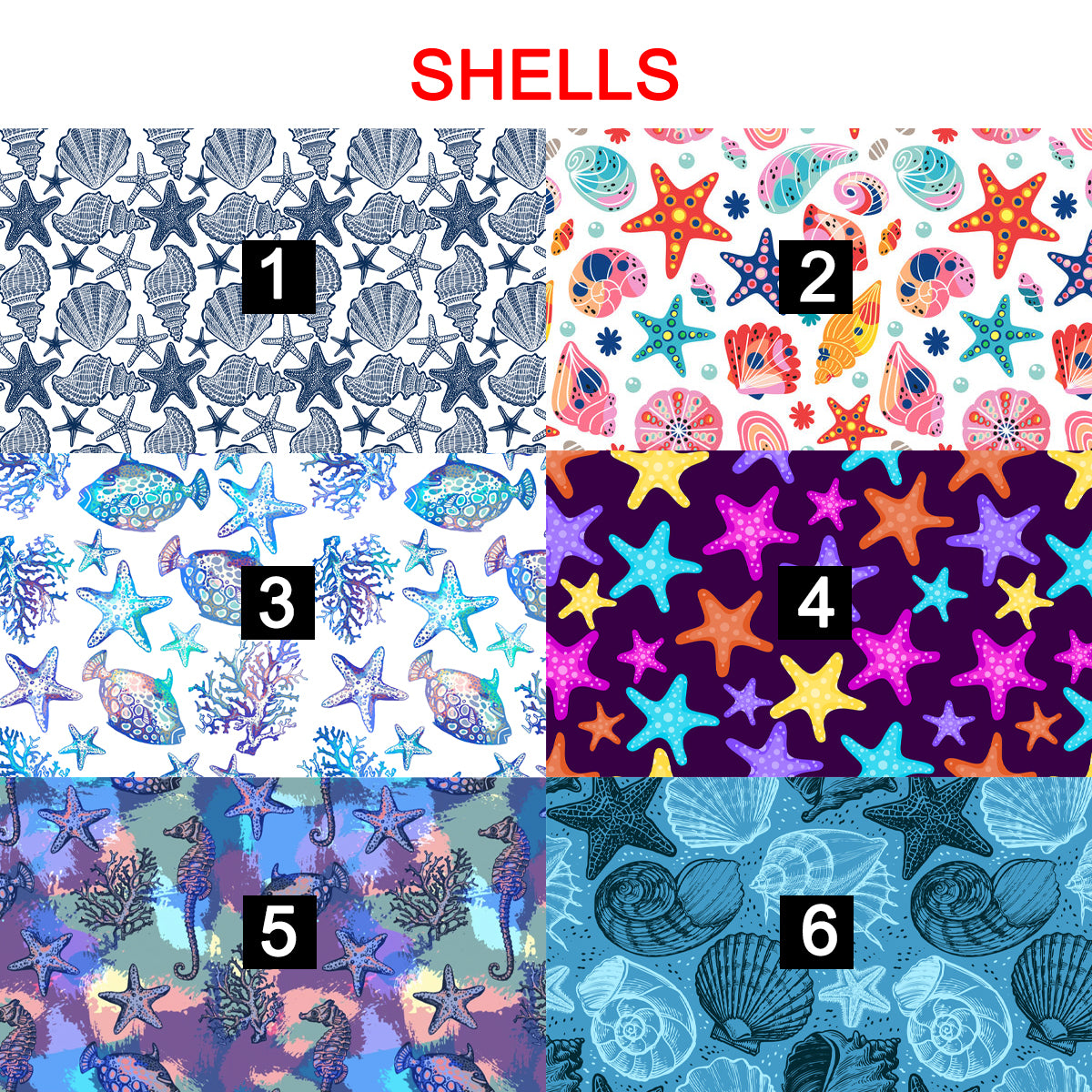 SHELLS - magnetic glasses topper - shells, ocean, beach, vacation, summer, starfish, sea shells, star fish, pair eyewear, pair glasses, pair toppers, wanda, kirby, ella, casper, reese, Brook, Addison, Zuri, Payton, murphy, harper, quinn, jessie, drew
