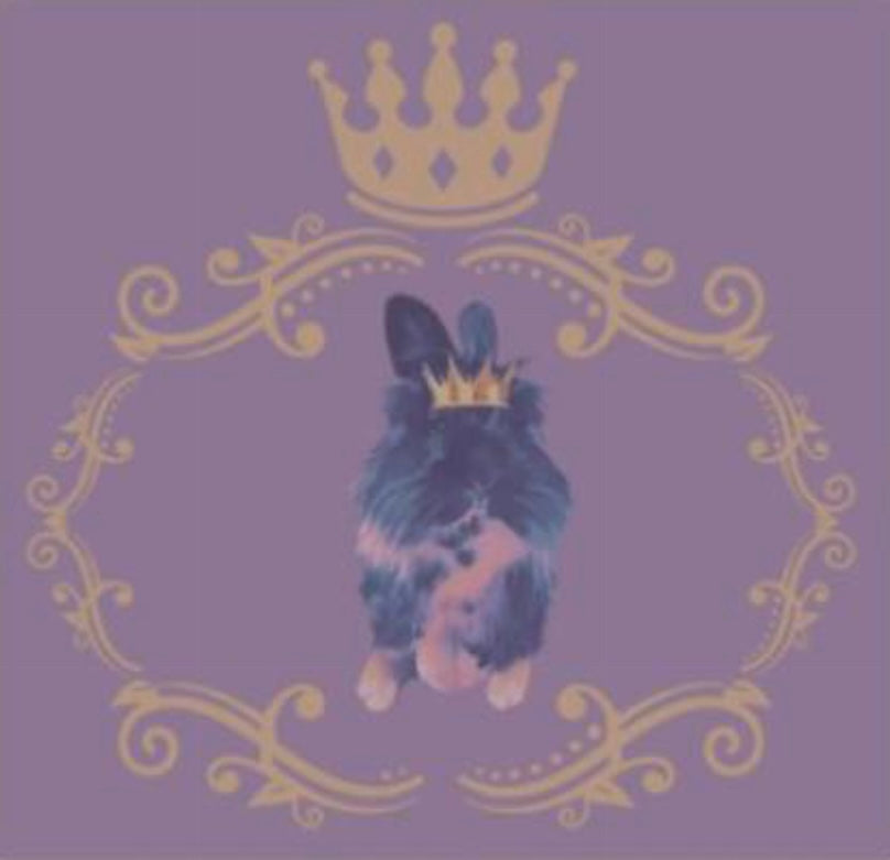 bunny post it notes