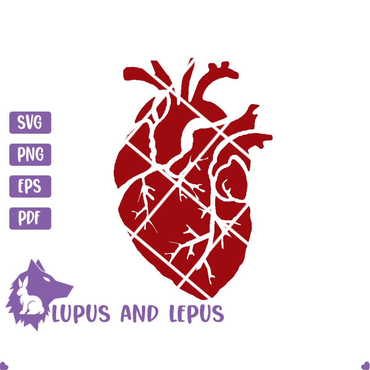 DIGITAL FILE - human heart svg, heart svg, anatomical heart svg, anatomy svg, nursing svg, medical svg, school svg, tell tail heart