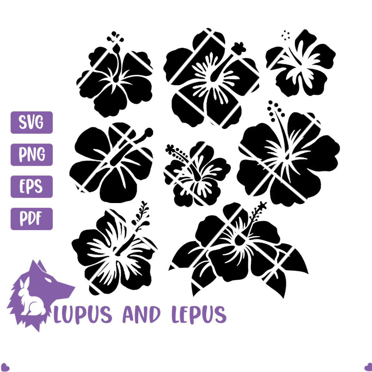 Digital File - hibiscuses, hibiscuses svg, Hawaiian flower svg, flower svg, summer svg, summer svg, beach svg (eps, svg, pdf, png, jpeg)