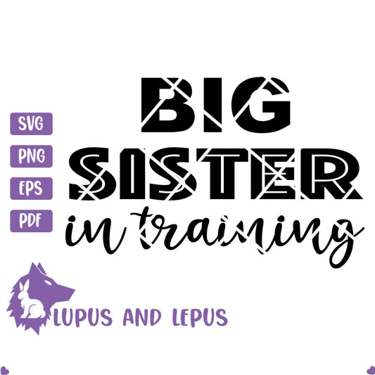 DIGITAL FILE - sister svg, sister in training, sisters svg, big sister svg, pregnancy svg, baby announcement, new baby svg, big sis svg