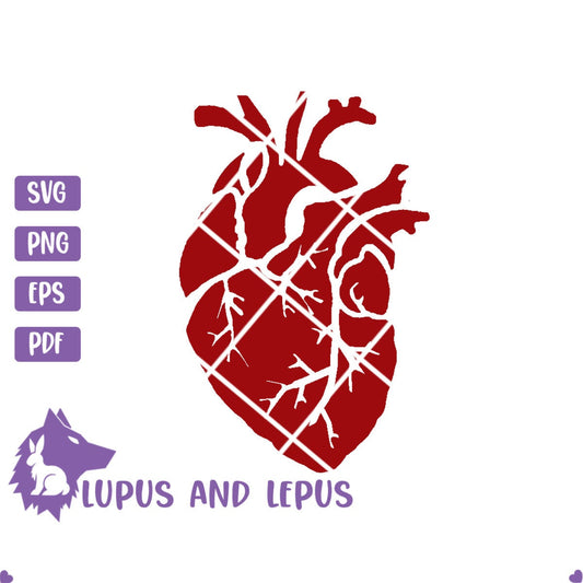 DIGITAL FILE - human heart svg, heart svg, anatomical heart svg, anatomy svg,  nursing svg, medical svg, school svg, tell tail heart