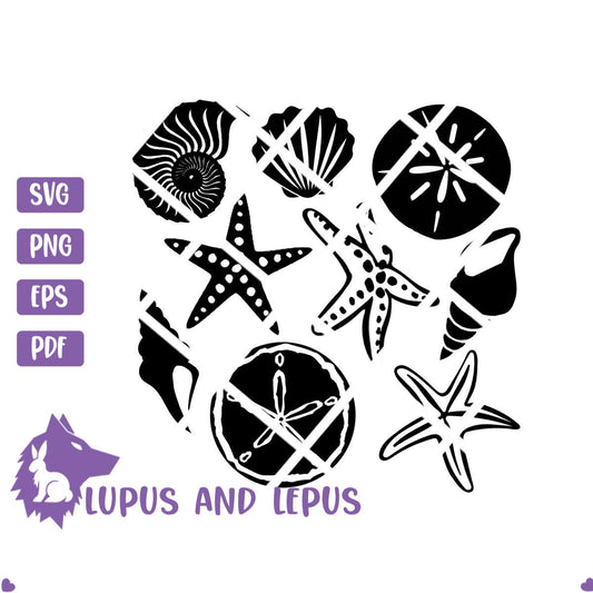 Digital File - shells, sea shells svg, beach svg, ocean svg, shells svg, sand dollar svg, starfish svg (eps, svg, pdf, png, jpeg)